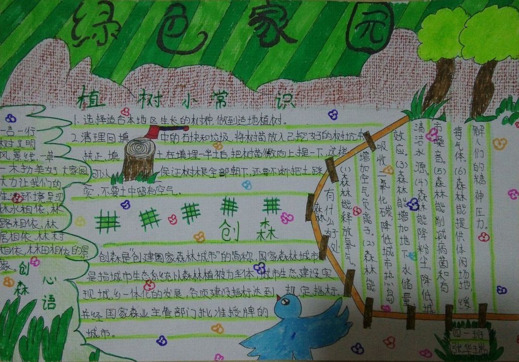 创森手抄报图片