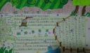 创森手抄报图片
