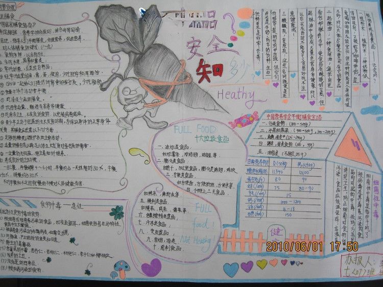 食品安全手抄报版面设计图 食品安全手抄报版面设计图