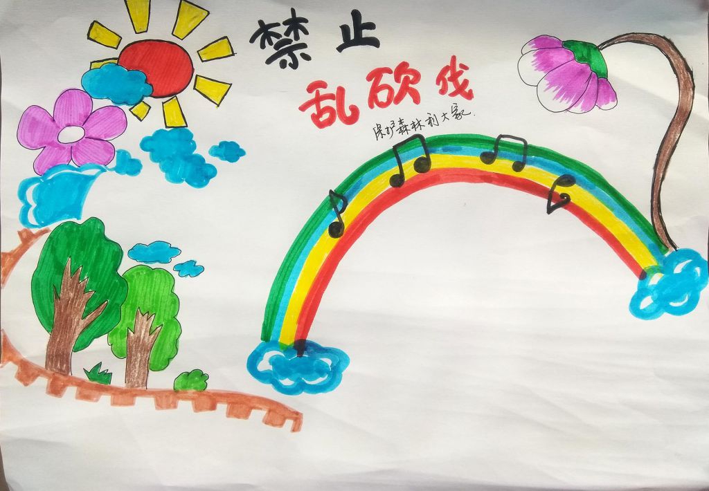 禁止乱砍伐，保护森林利大家手抄报