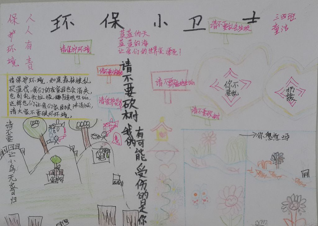家乡环境调查手抄报