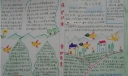 关于保护鸟的手抄报
