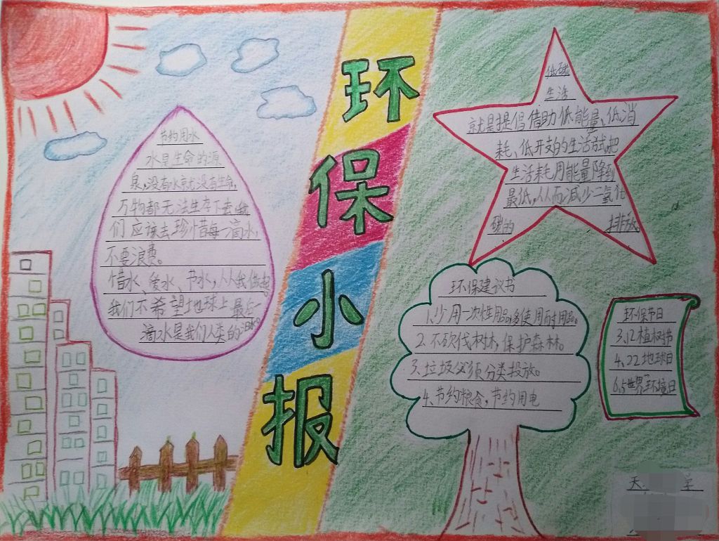 漂亮的环保小报