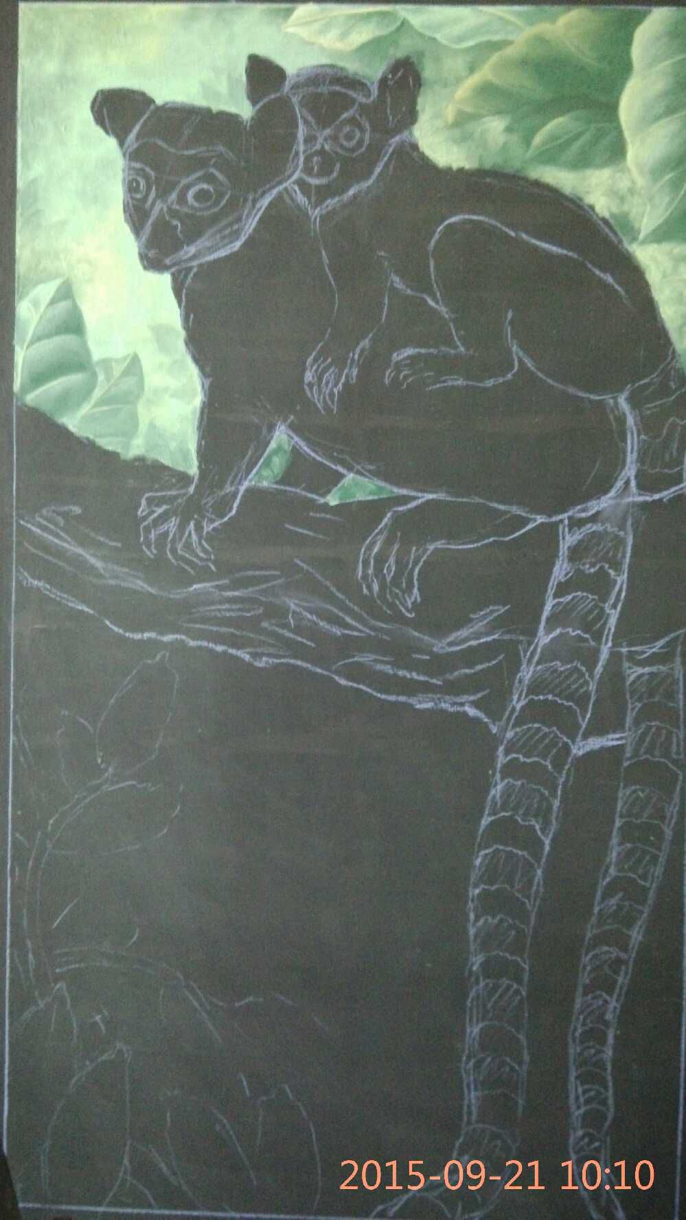 环尾狐猴粉笔画作品