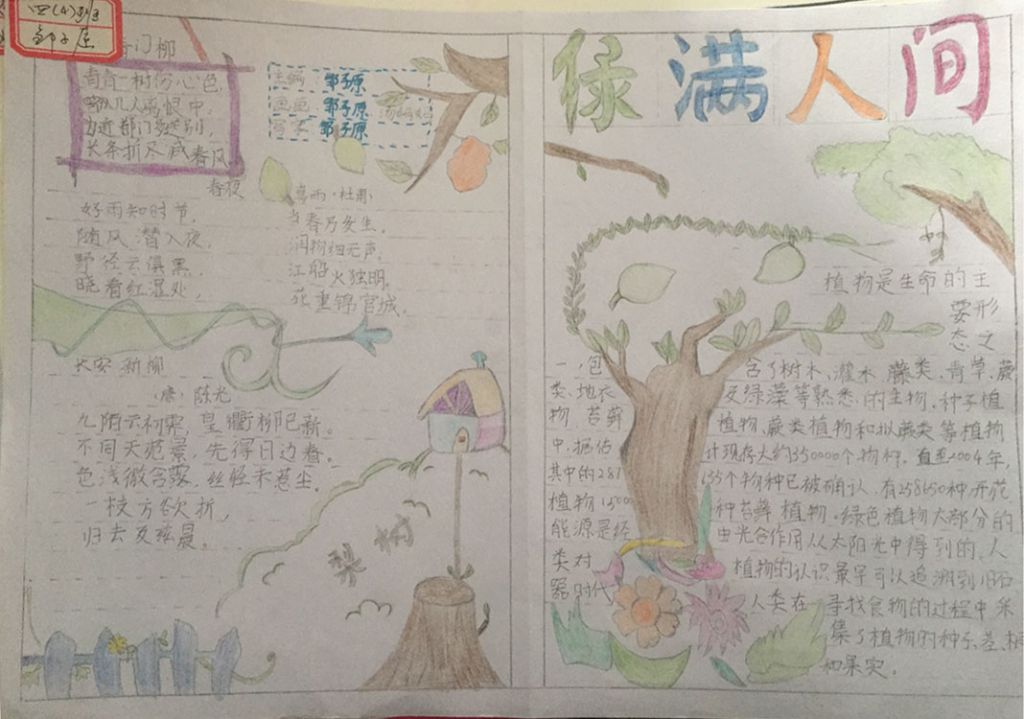 绿满人间手抄报图片