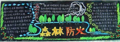 中学生森林防火宣传黑板报 中学生森林防火宣传黑板报