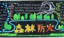 中学生森林防火宣传黑板报