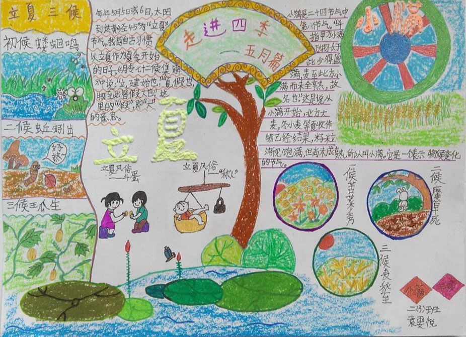 走进四季之五月手抄报