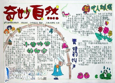 奇妙自然手抄报版面设计图
