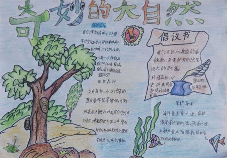认识大自然手抄报版面图及内容资料