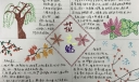 “花之魅”手抄报