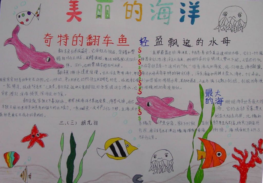 保护海洋手抄报图片