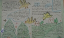 绿色家园-离不开鸟类宣传手抄报