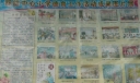 中心小学德育工作活动成果图片展
