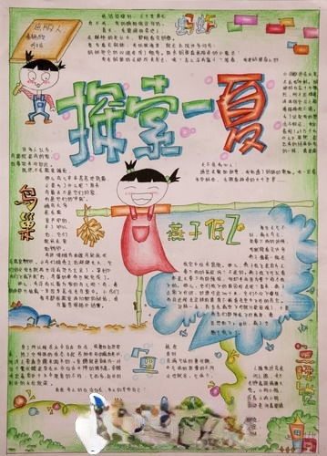 探索夏天手抄报图片欣赏