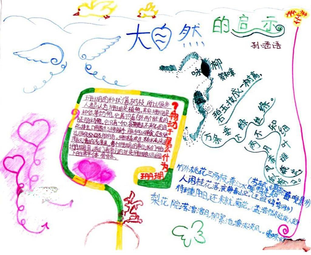 大自然的启示手抄报图片大全