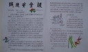 环保安全手抄报图片欣赏