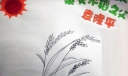 伟人杂交水稻之父袁隆平，关于袁隆平的手抄报