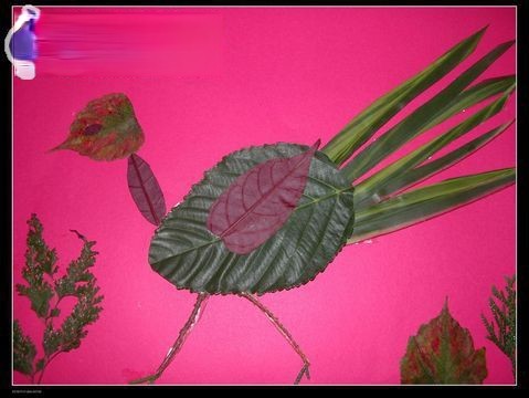 剪贴画：奔跑的鸟