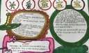 科学养蚕手抄报图片