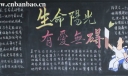 生命阳光有爱无碍手抄报