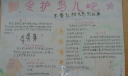 爱护鸟儿手抄报版面设计图-不要让树木感到孤单