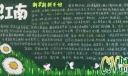 “春满江南”主题黑板报作品展评