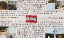 动物园游记手抄报图片