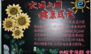 文明上网健康成长黑板报图片