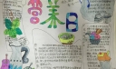 5.20国际营养日手抄报