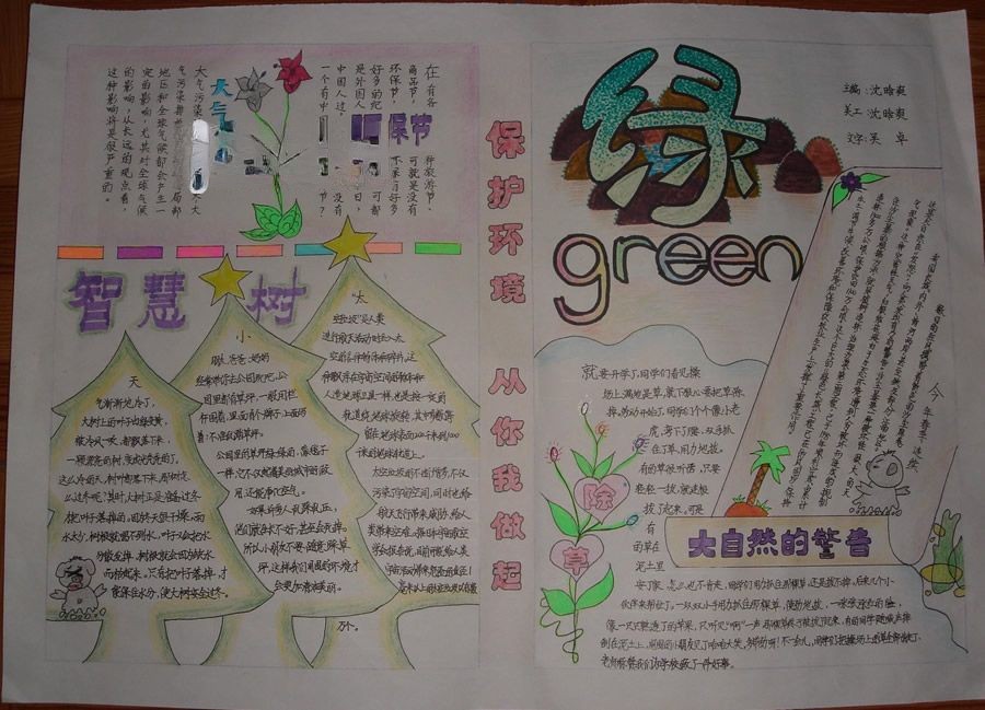 绿色主题手抄报作品-精品推荐