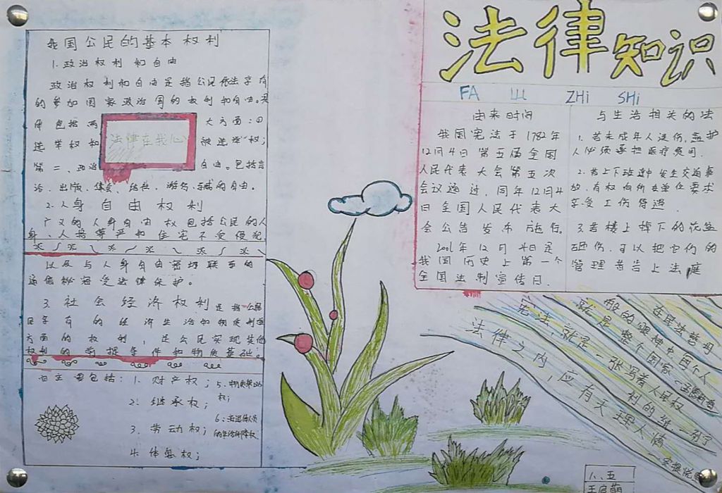 小学生教师节国庆节食品安全预防肺结核手抄报