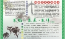 发现发展发挥校园艺术手抄报