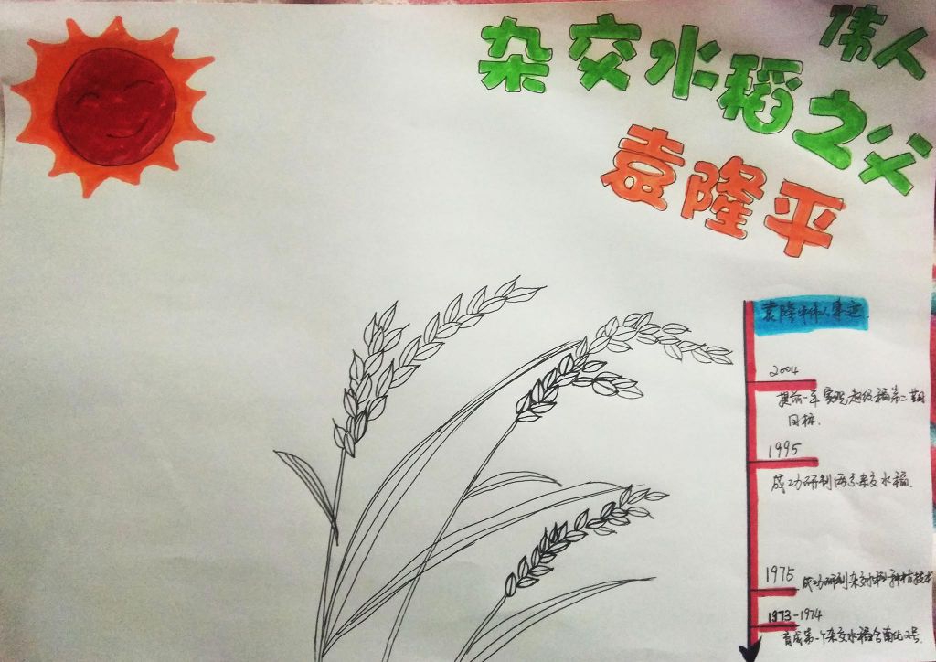 伟人杂交水稻之父袁隆平，关于袁隆平的手抄报