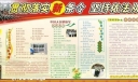 条令月板报图片