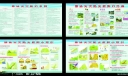 地质灾害防灾避险宣传板报-4图