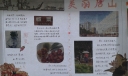 美丽唐山手抄报