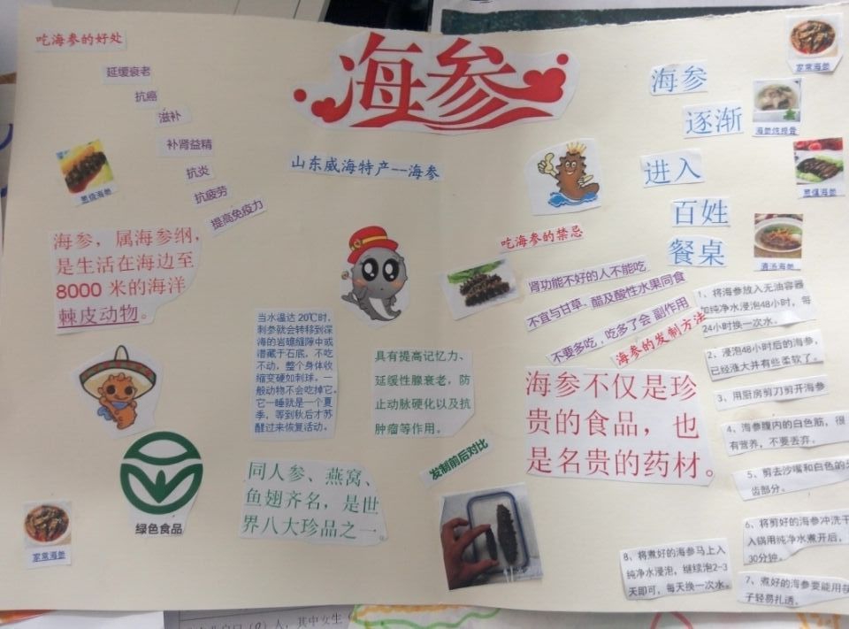 海参手抄报图片大全