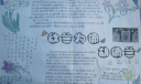 感动中国人物胡佩兰手抄报