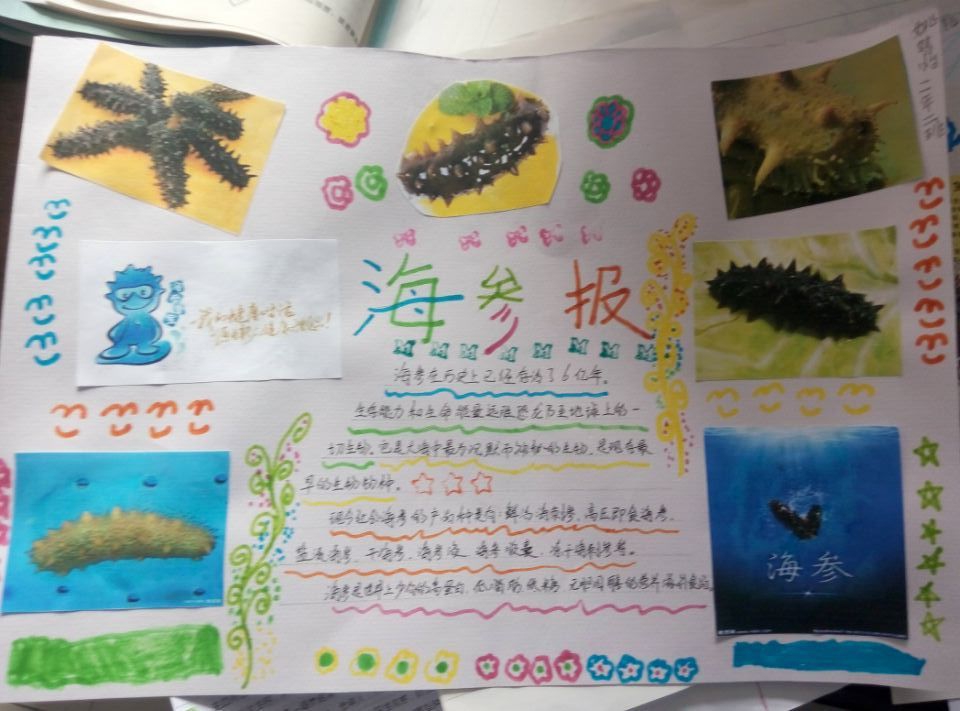 海参手抄报图片大全