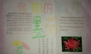 走近班花墨菊手抄报图片大全