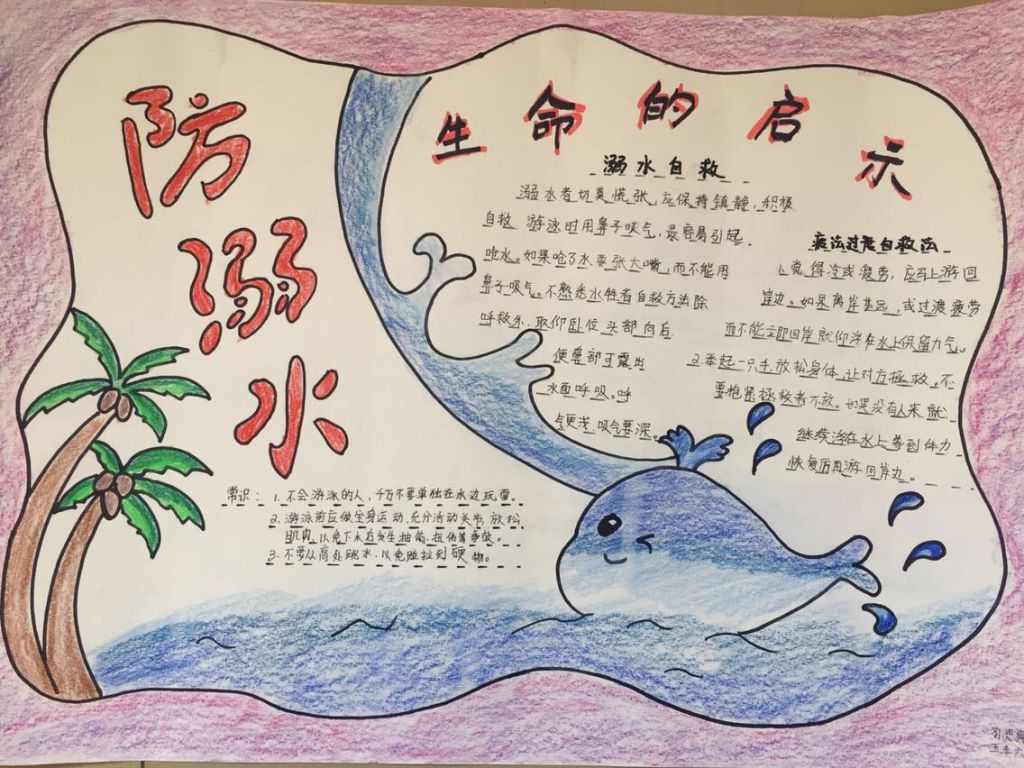 寒假安全手抄小报图片展