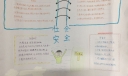 社会安全手抄报图片