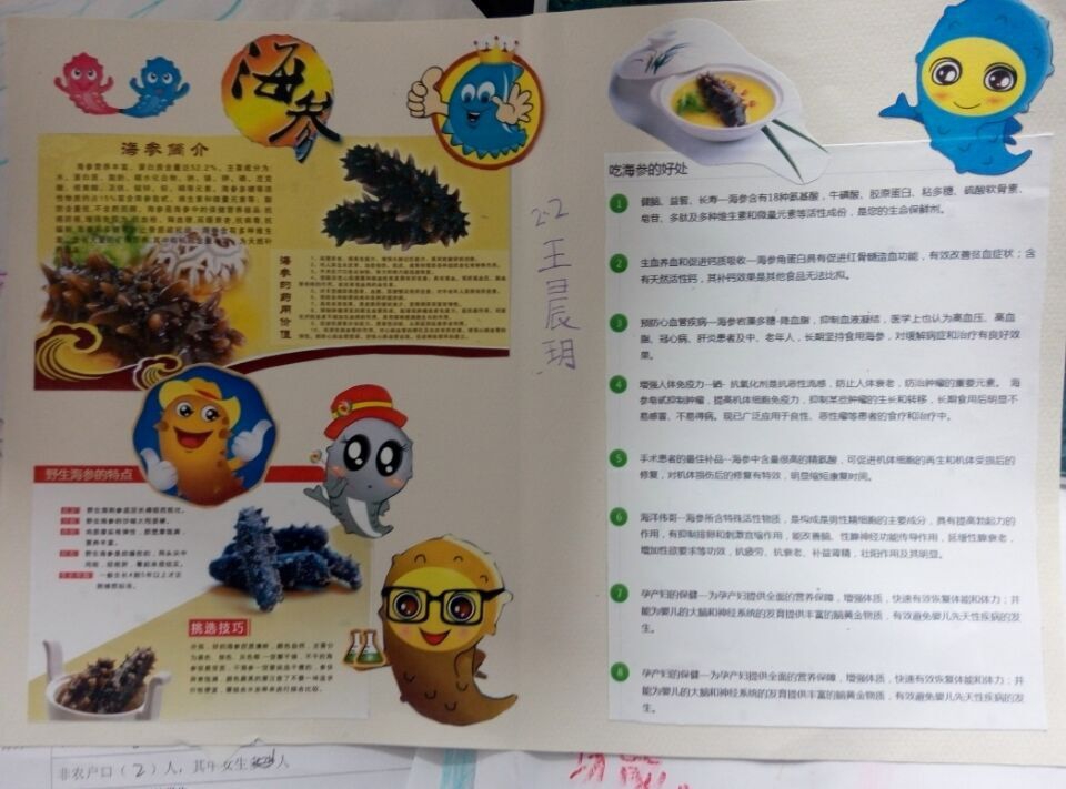 海参手抄报图片大全