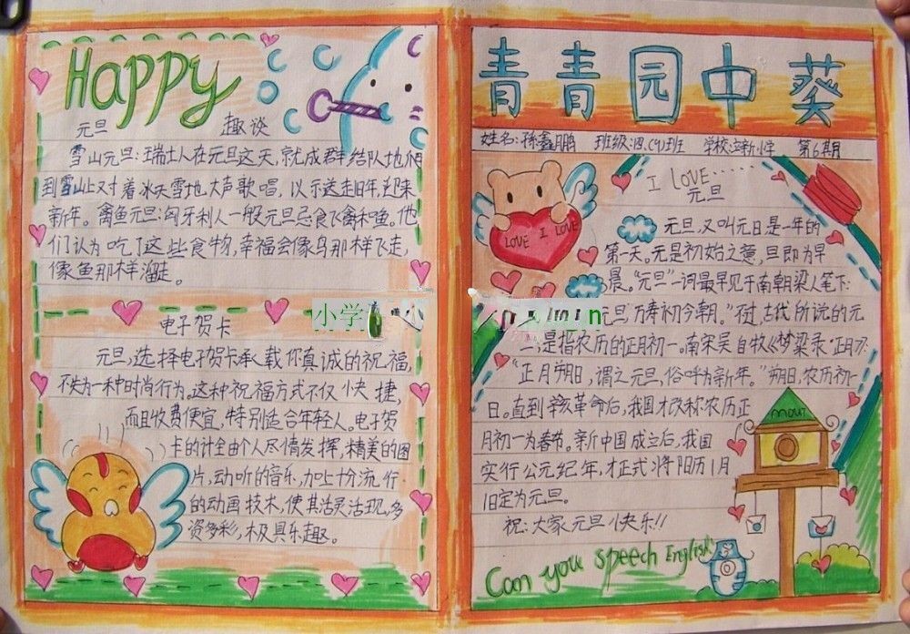 自编元旦小报-青青园中葵