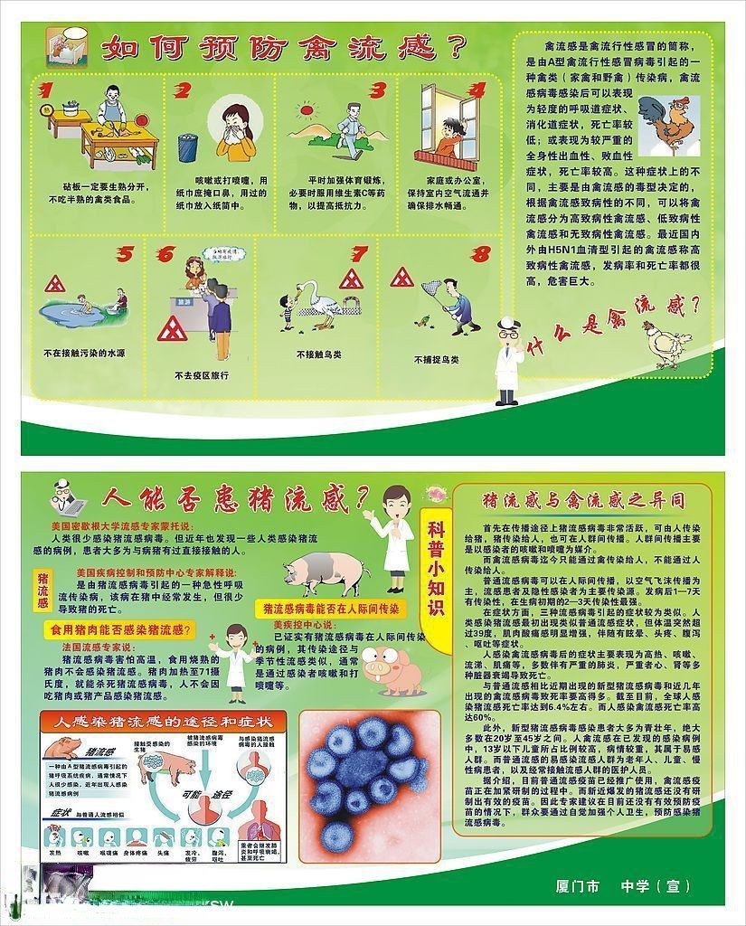 编辑推荐：猪流感（甲型H1N1病毒）宣传专题板报设计