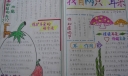 爱耳手抄报：我有两只小耳朵