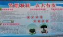 节能减排 人人有责宣传板报