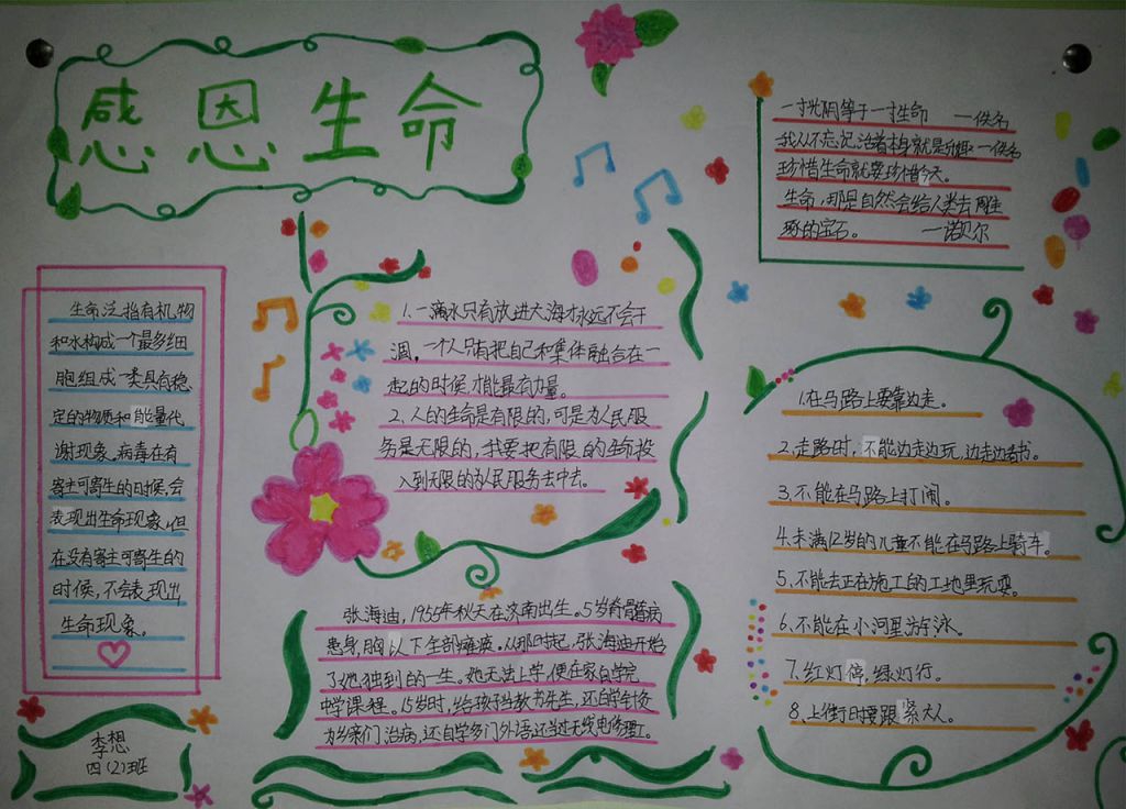 感恩生命手抄报大全