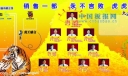 销售公司板报图片